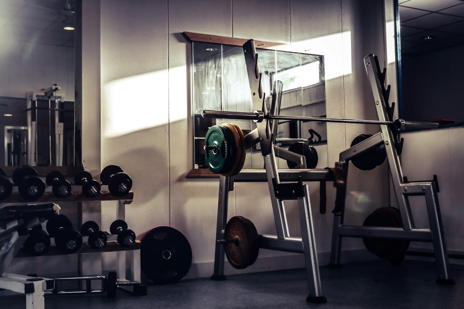 A loaded barbell racked on a squat stand, lit by a band of sunlight