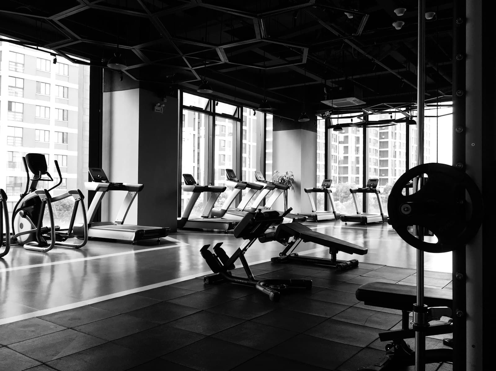 A bright, empty training floor with benches and treadmills by tall windows